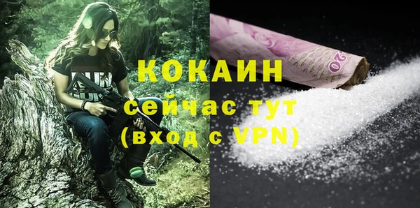 прущие грибы Белоозёрский