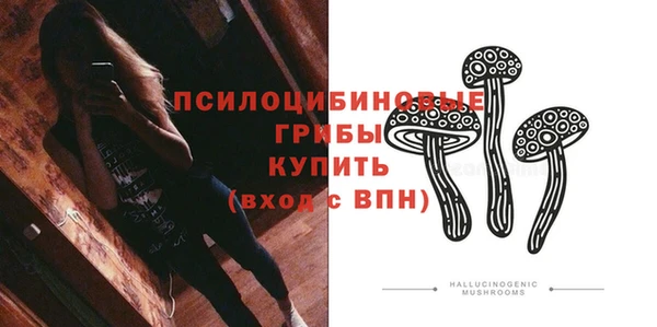 прущие крисы Беломорск