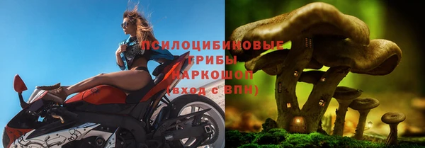 прущие грибы Белоозёрский
