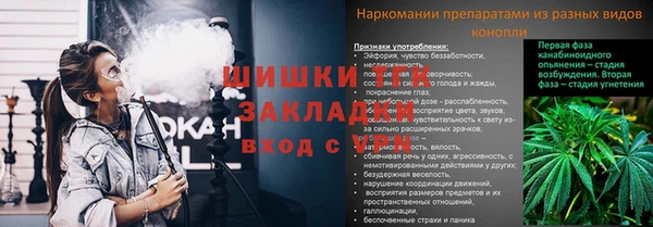прущие грибы Белоозёрский